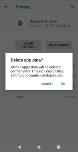 delete app data